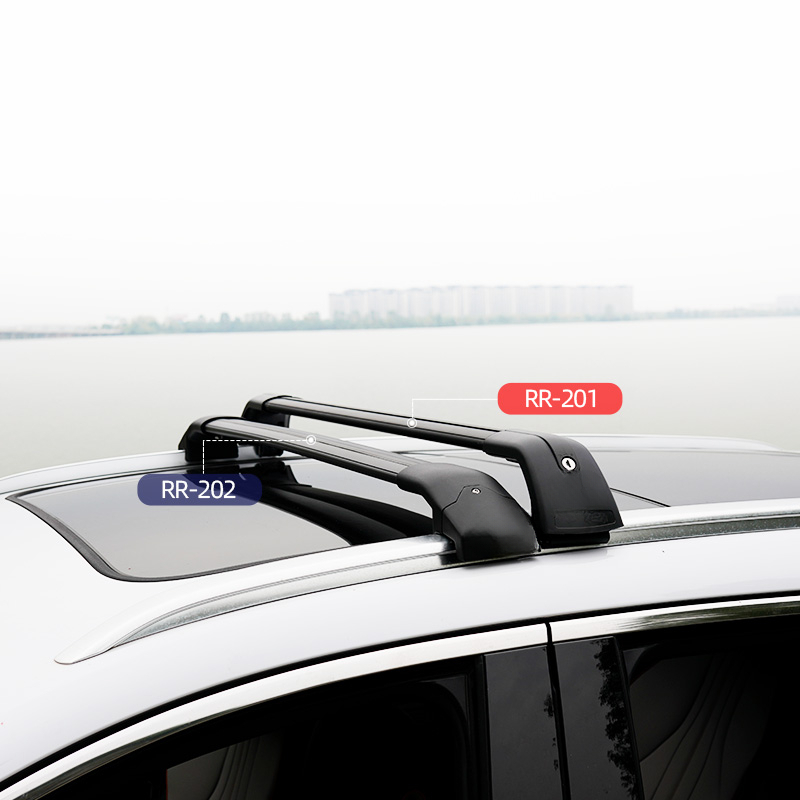 Barre portatutto in alluminio  - Roof Rack Crossbar Aluminum recensione e prezzo